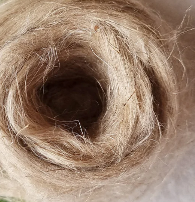 fibres longues de chanvre textile